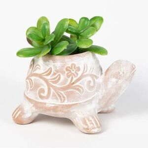 Handmade Terracotta Turtle